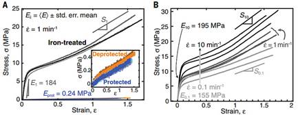 ˵��: https://xpic.x-mol.com/upload%2F20180116%2F22721516085915786.jpg