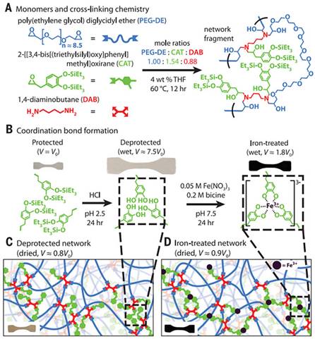 ˵��: https://xpic.x-mol.com/upload%2F20180116%2F7891516085885281.jpg