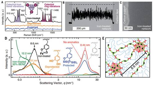 ˵��: https://xpic.x-mol.com/upload%2F20180116%2F39981516085899775.jpg